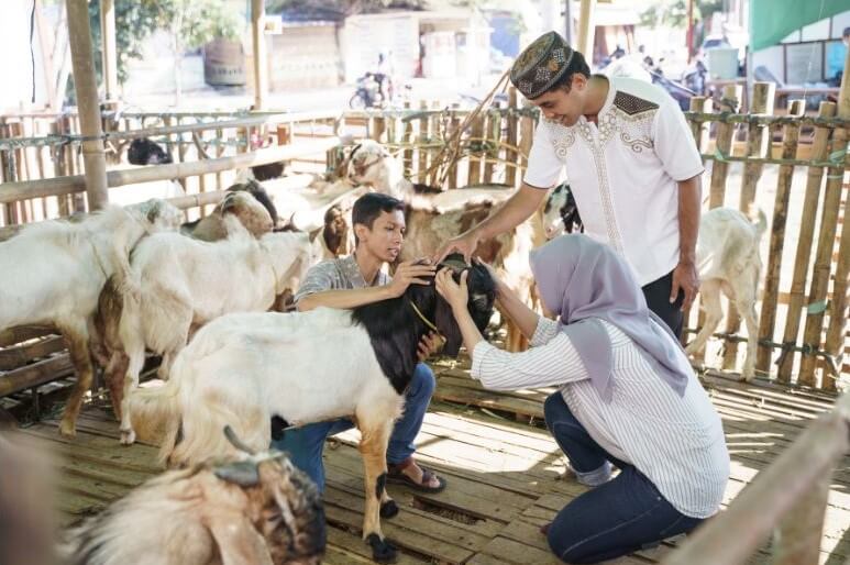 Aqiqah & Qurban