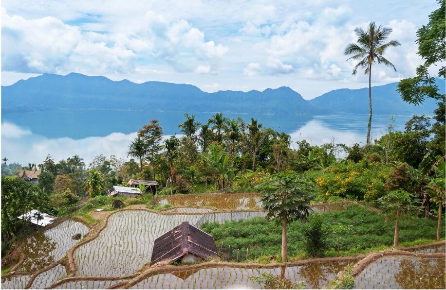 Pakej Padang Bukit Tinggi