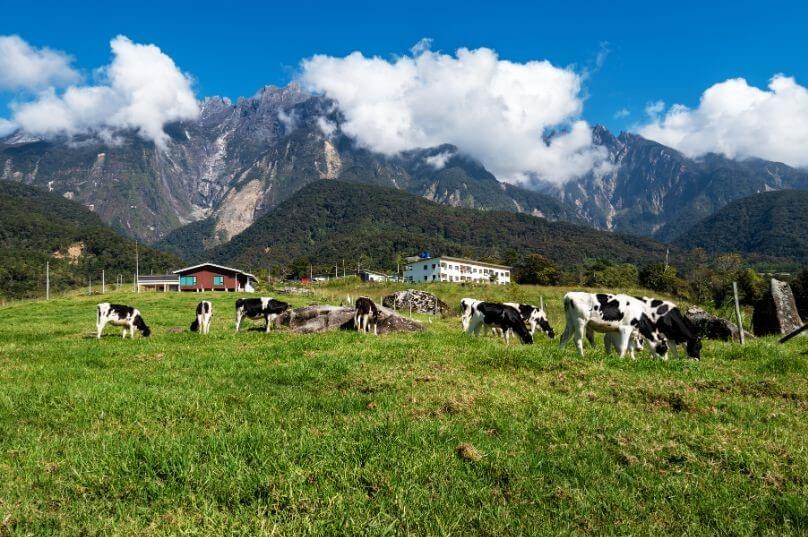 Pakej Kota Kinabalu Kundasang