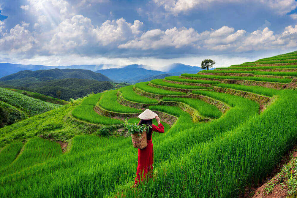 Pakej Hanoi Halong