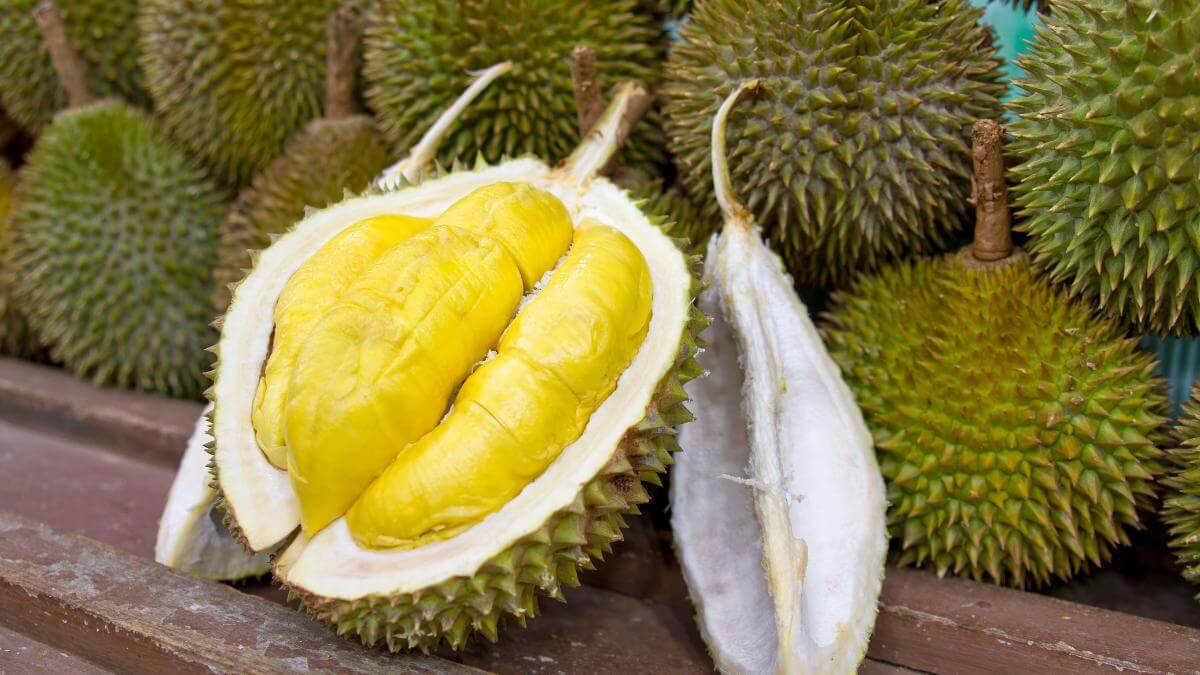 Pakej Makan Durian Musang King Pahang