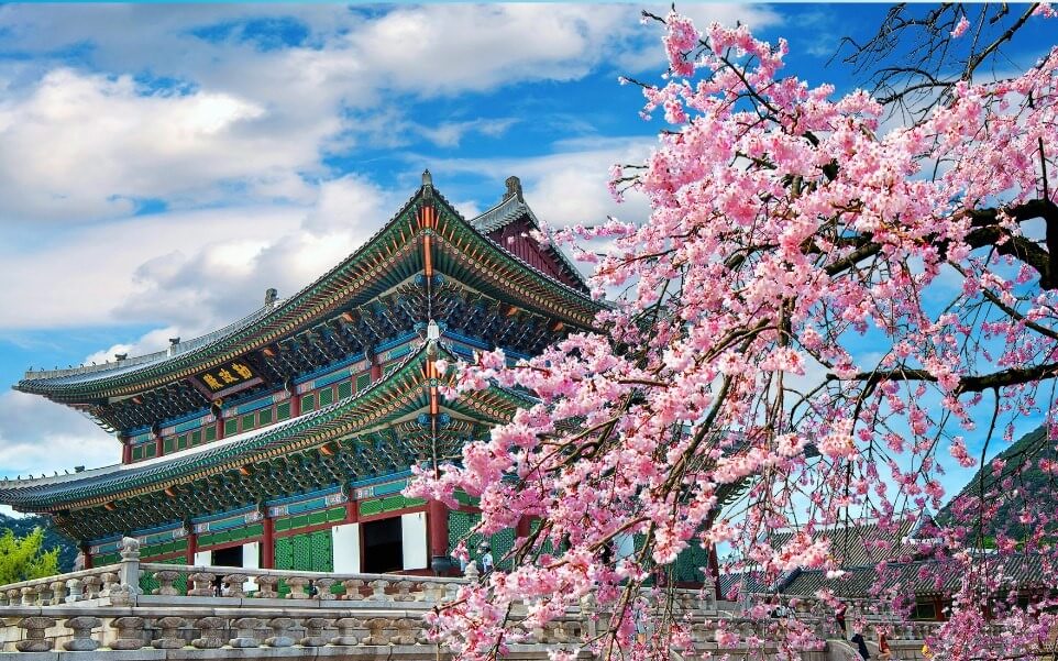 Pakej Korea (Busan & Daegu)