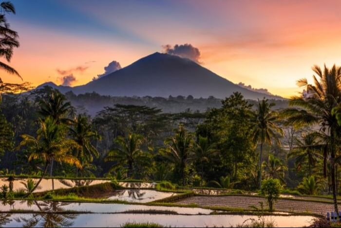 Pakej ke Bali