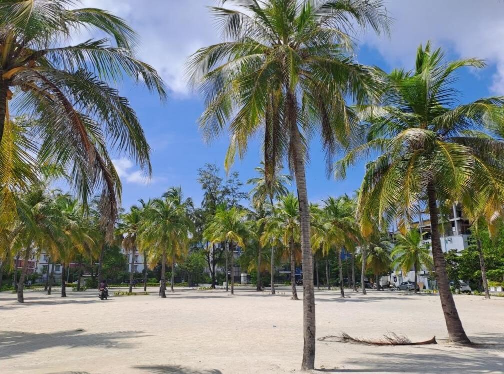 Maldives Honeymoon Trip