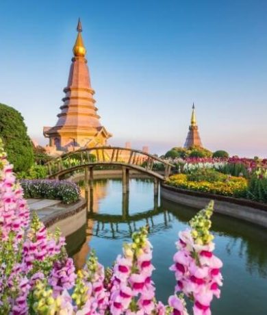 4D3N Chiang Mai Tour (3)