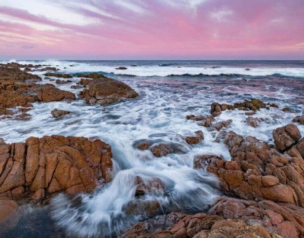 4D3N Perth Discovery (2)