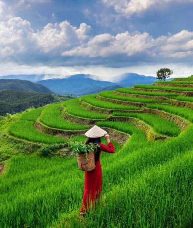 5D4N Hanoi, (1)