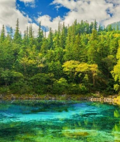 JIUZHAIGOU five flower lake