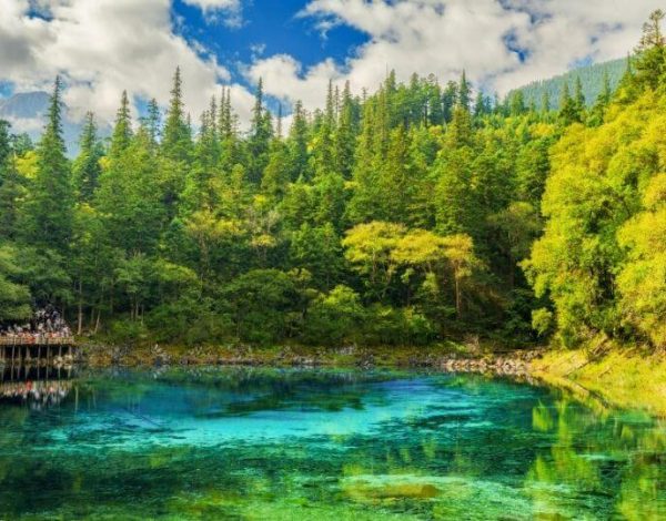 JIUZHAIGOU five flower lake