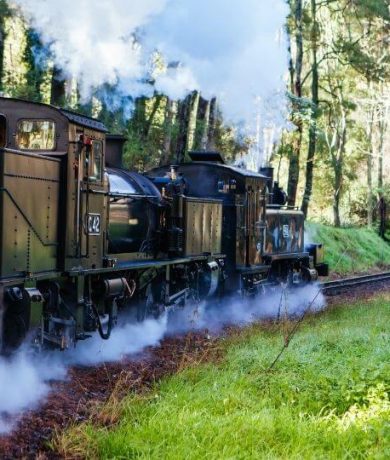 Puffing Billy & Healesville Sanctuary