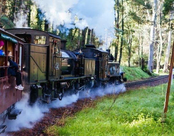 Puffing Billy & Healesville Sanctuary