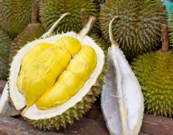 durian