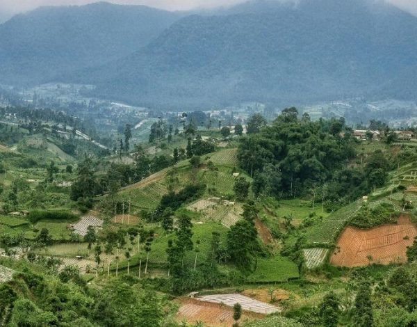 lembang 1