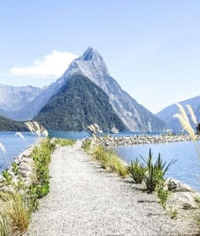 newzealand 5