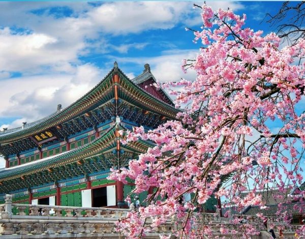 pakej melancong ke korea