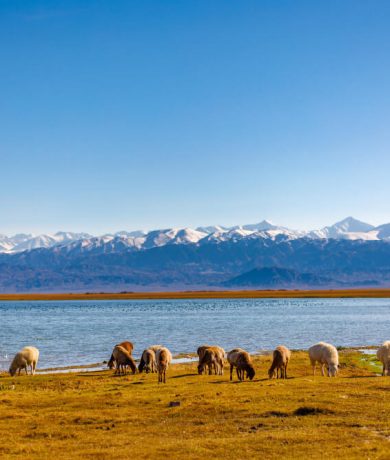 xinjiang 3